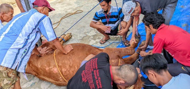 Warga Cikasungka Laksanakan Pemotongan Hewan Kurban di Mushola Annur, Ini Kata RT Jhon