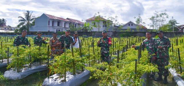 Dandim 1710/Mimika Tinjau Ketahanan Pangan Di Lahan Percontohan Petani Binaan