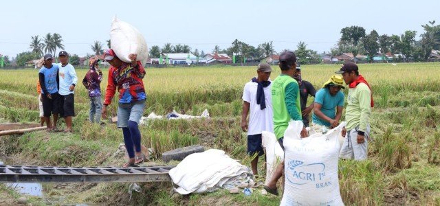Gugus Tugas Kedaulatan Pangan TNI, Perkuat Ketahanan dan Kemandirian Bangsa