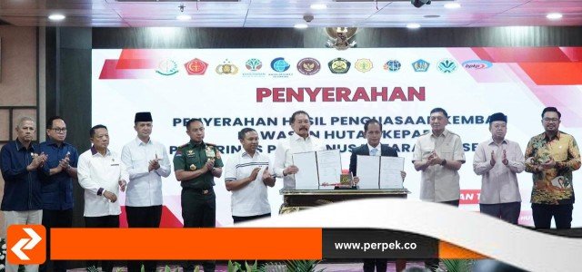 TNI Tegas Hadapi Perambah Hutan Ilegal