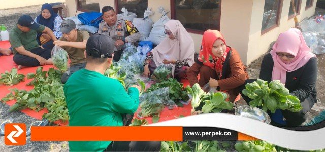 Aiptu Suyatno Panen Sayur Bersama Warga: Wujudkan Swasembada Pangan