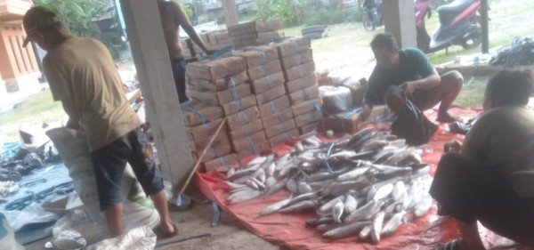 Bulan Ramadhan Penuh Berkah, Kepala Desa Cileles Bagi-bagi Ribuan Ekor Ikan Bandeng