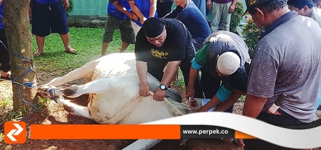Warga RW 012 Semanan Gelar Pemotongan Hewan Kurban: Sinergi Wujudkan Kebersamaan dan Nilai Berbagi