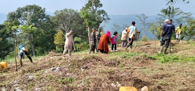 Satgas TMMD ke-128 Tanam Jagung dan Pohon Keras di Bogor